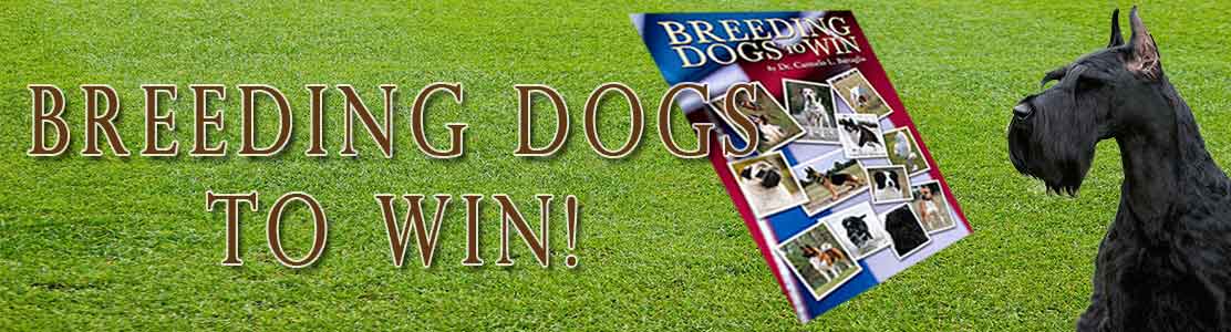 breeding dogs to win