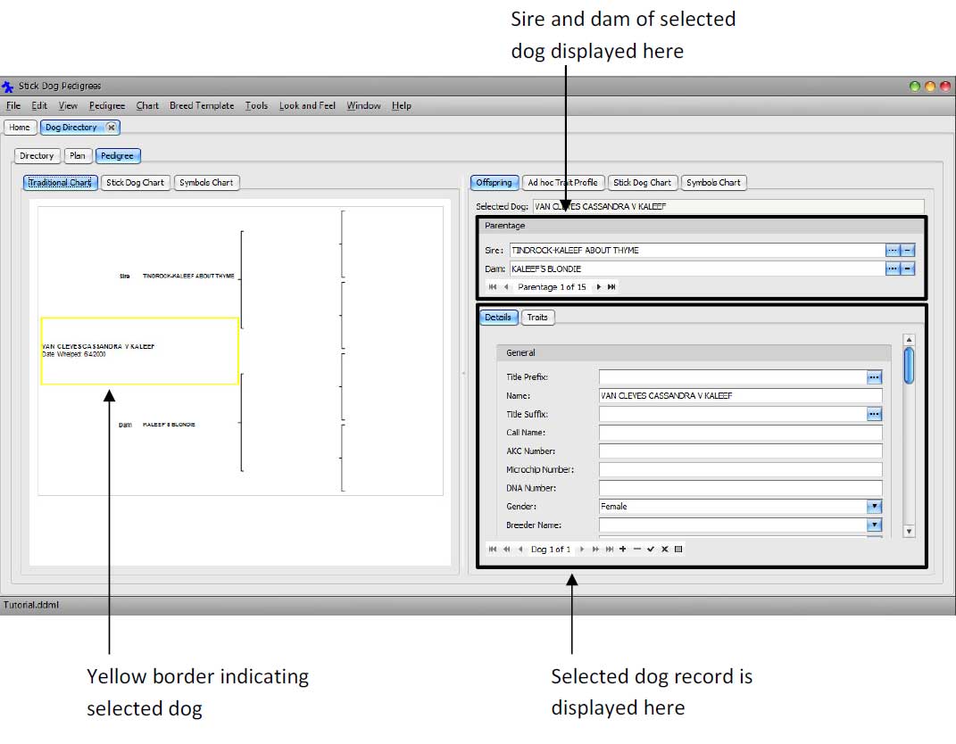 The Stickdog Pedigrees Program showing the Form Display Explanation