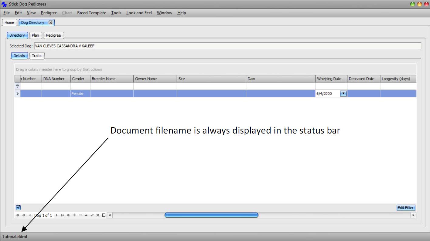 The Stickdog Pedigrees Program showing the New File Name Displayed in the Staus Bar