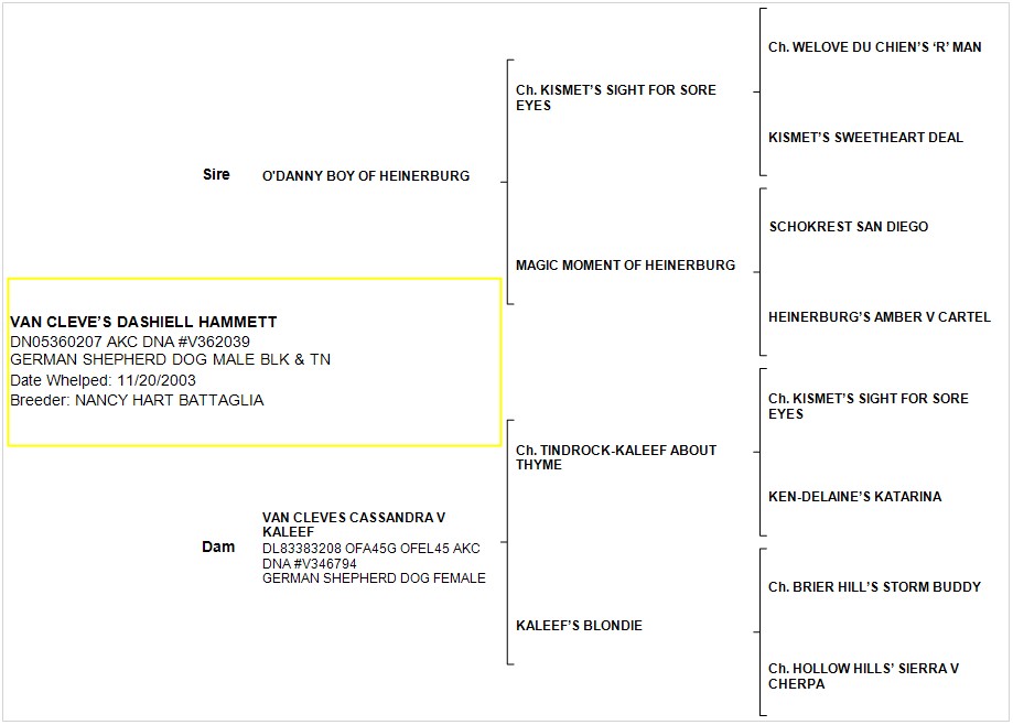 Pedigree Chart 10