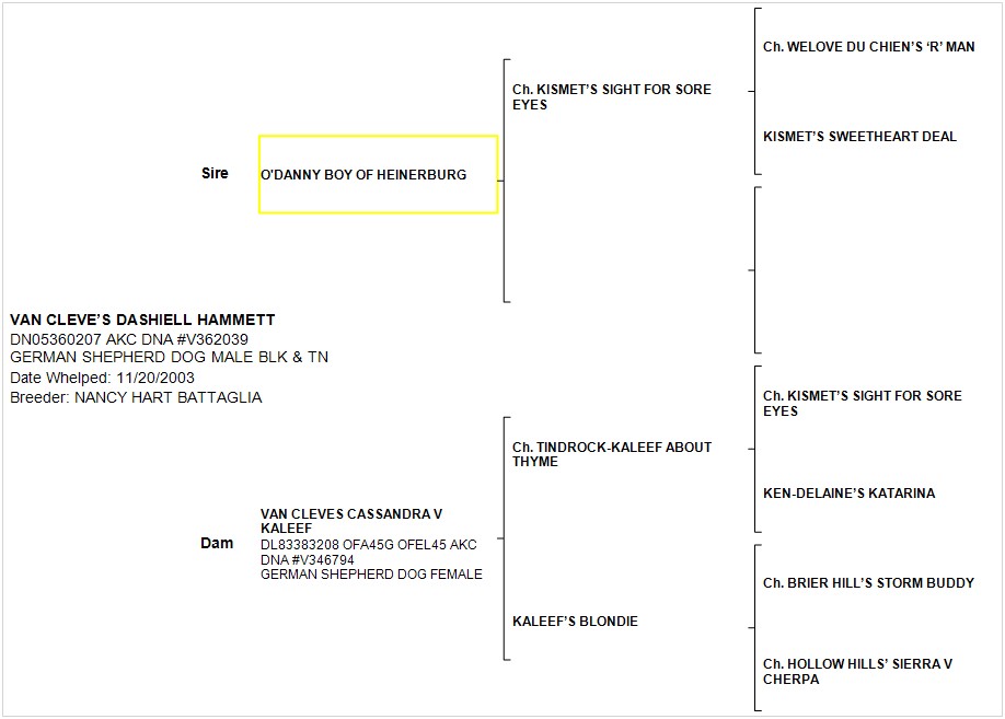 Pedigree Chart 3