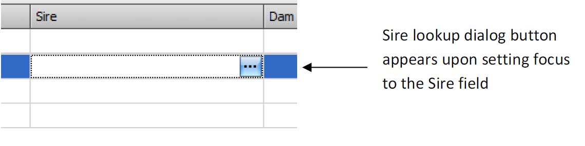 The Stickdog Pedigrees Program showing the Sire Lookup Dialog Box