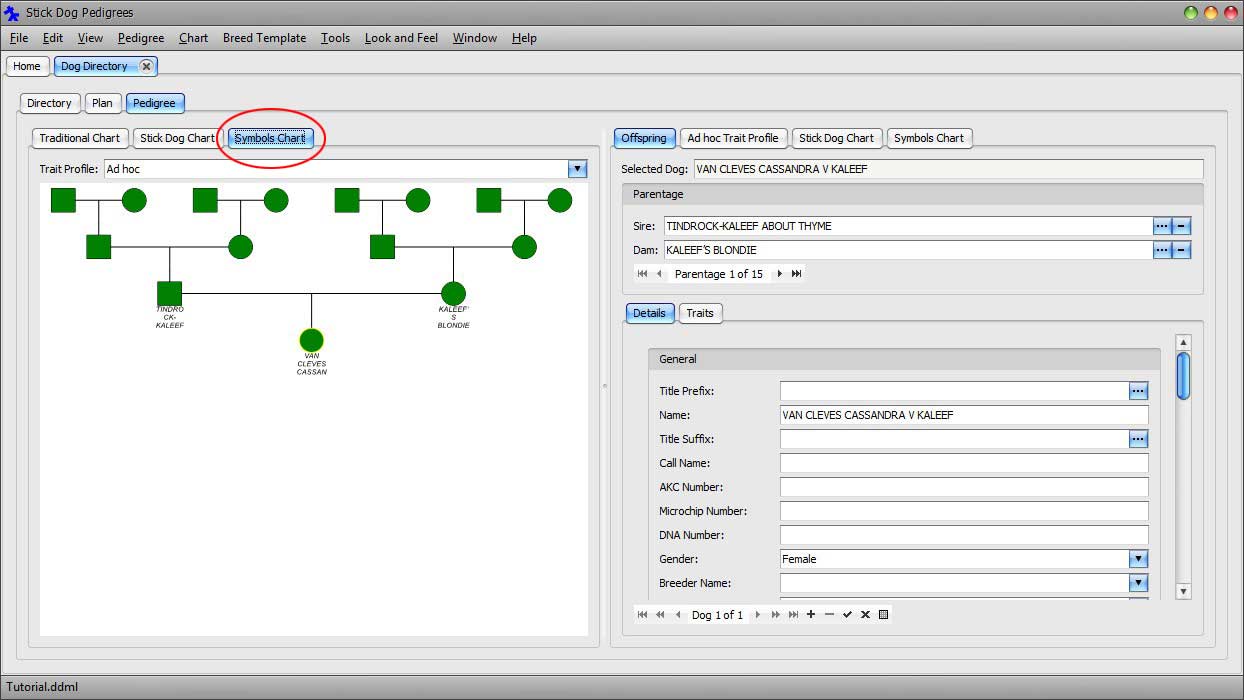 The Stickdog Pedigrees Program showing the Symbols Chart Button