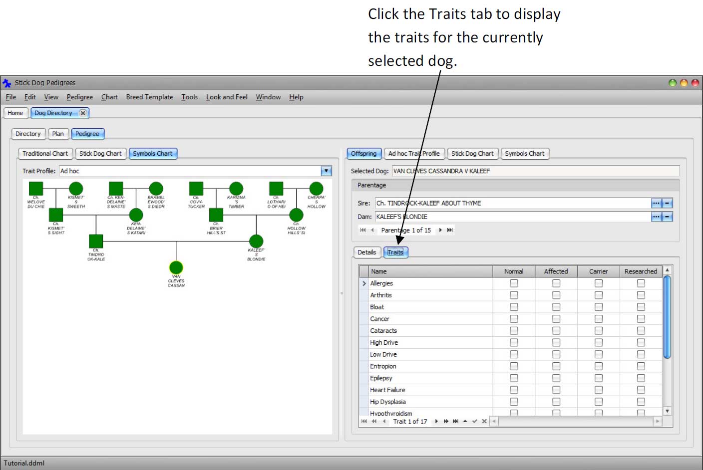 Traits Tab