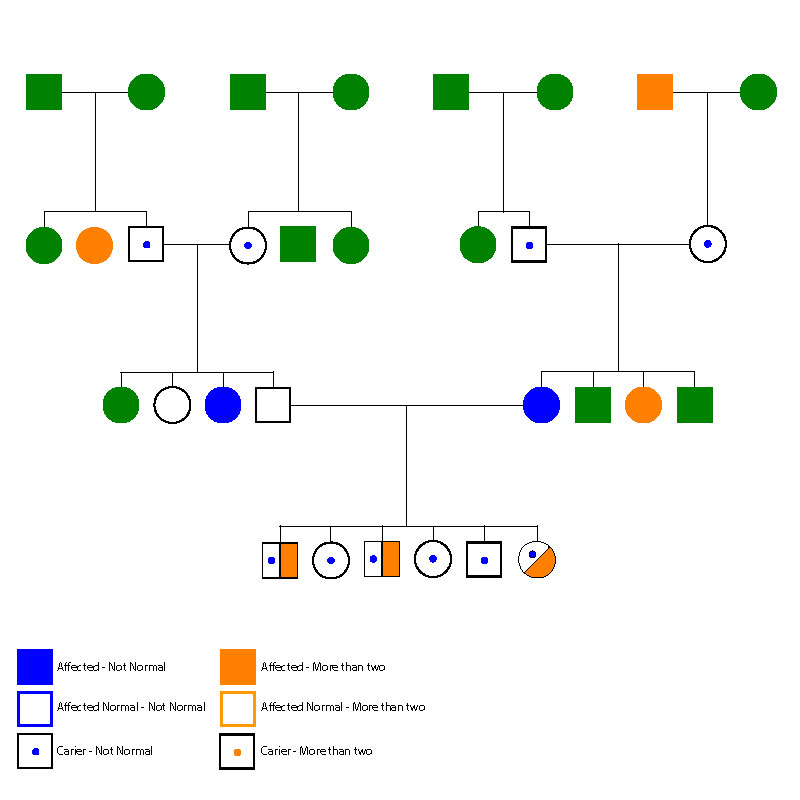 Symbols Pedigree Chart